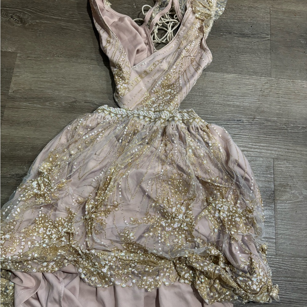 Hello Molly Pink and Gold Mini Dress